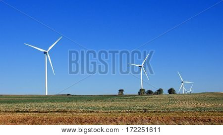 Wind turbines farm using renewable energy to generate electrical power. Renewable energy is most sustainable way of power generation.