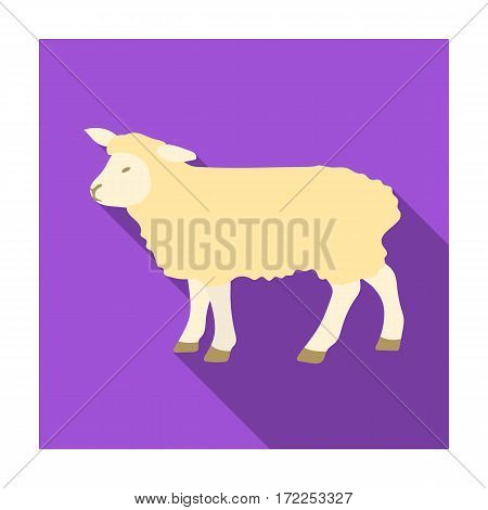 Sheep icon in flat design isolated on white background. Scotland country symbol stock vector illustration.