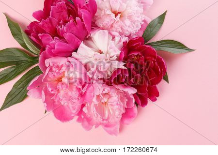 nice peonies