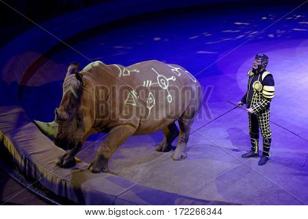 ST. PETERSBURG, RUSSIA - FEBRUARY 3, 2017: Trained rhino in the dress rehearsal of the circus program CircUS 2.0. The program reflects the vision of circus art of XXI century