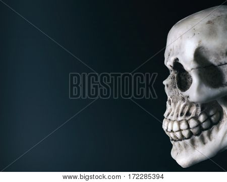 The big skull with eye pit looking away isolated on black.
