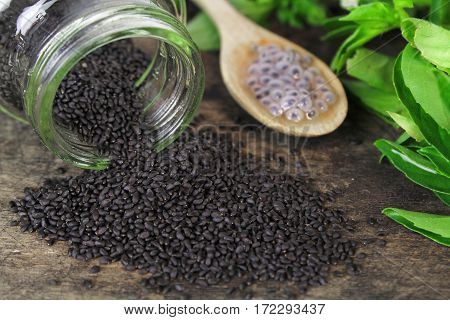 raw basil seed, herb in Thai, aids digestion as a laxative