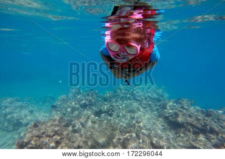 Child (girl age 6-7) snorkeling dive over a coral reef in Vanu leavu island Fiji. Travel concept Real people copy space