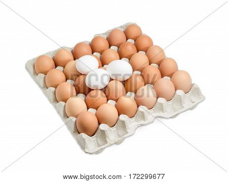 Thirty brown and speckled chicken eggs in the cardboard egg tray and three white eggs from above on a light background