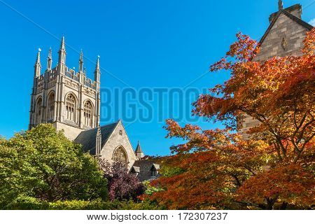 Garden and Chapel tower of Merton College. Oxford University Oxford England