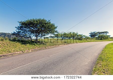 Rural Asphalt Road Curving Through Rural Landscape