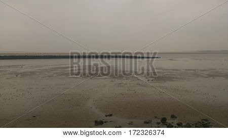 A gloomy overcast view of a shoreline. No sunshine or broken cloud is visible.