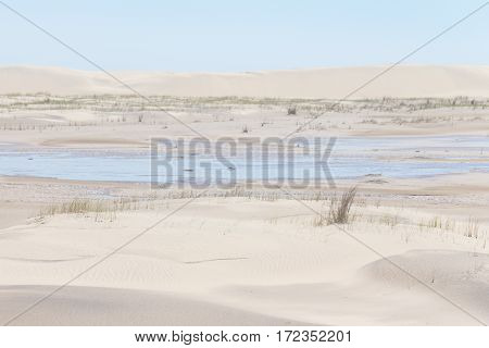 Vegetation On The Dunes At Lagoa Do Peixe National Park