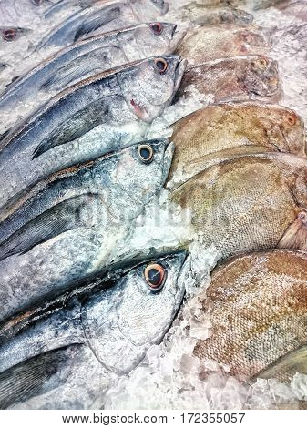 Fresh fish on ice at the seafood booth, Food industrial image