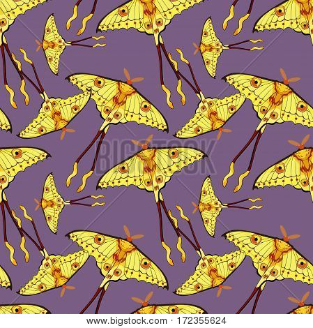 Seamless Pattern Butterfly Madagascar Comet Moth Moon  Vector Illustration