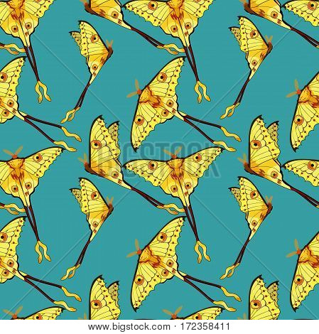 Seamless Pattern Butterfly Madagascar Comet Moth Moon  Vector Illustration