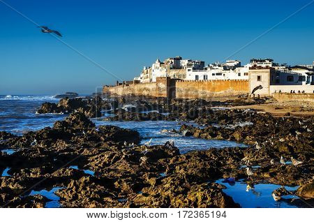 View to the Essaouira city - an ancient port on the Atlantic coast in Morocco, North Africa