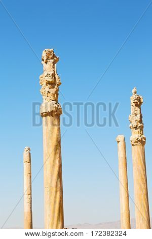 In Iran          Persepolis