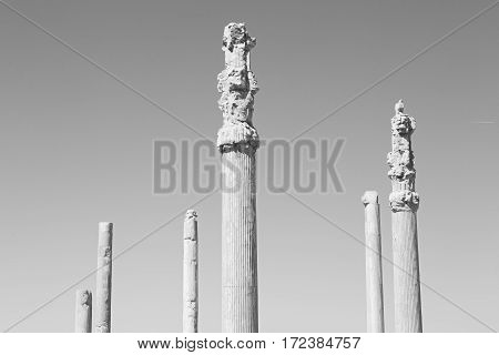 In Iran          Persepolis
