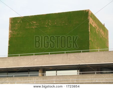 Erba su Hayward Gallery