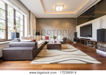 Spacious Living Room