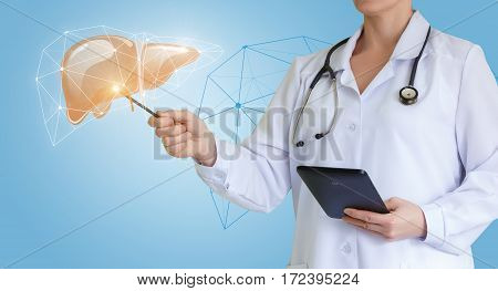 Doctor shows healthy human liver concept design.