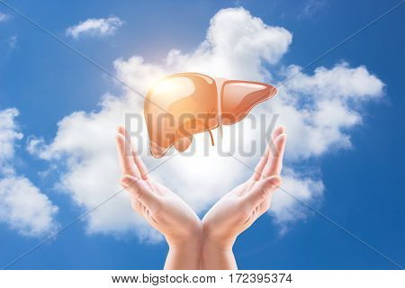 Support a healthy liver concept design .