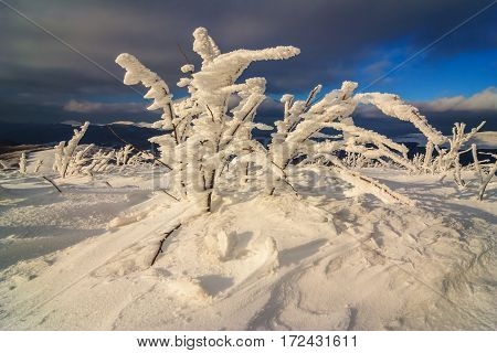 Beautiful Winter Landscape In The Mountains, Bieszczady, Poland