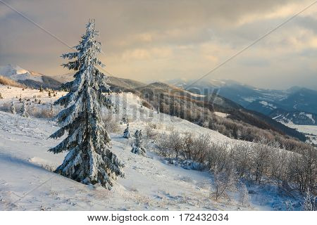 Beautiful Winter Landscape In The Mountains, Bieszczady, Poland