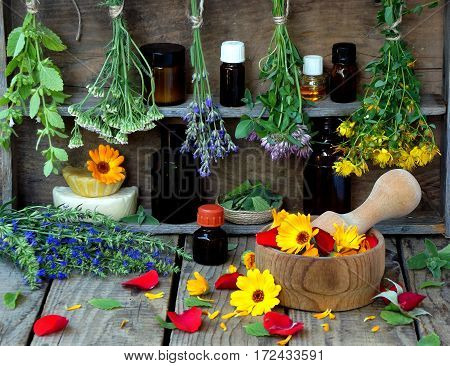 Bunches Of Healing Herbs - Mint, Yarrow, Lavender, Clover, Hyssop, Milfoil, Mortar With Flowers Of C
