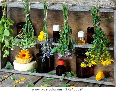 Bunches Of Healing Herbs - Mint, Yarrow, Lavender, Clover, Hyssop, Milfoil, Mortar With Flowers Of C