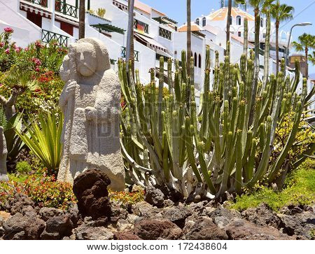 Playa De Las Americas beach Tenerife Canary Islands Spain Europe - June 12 2016: Cactus garden in Playa De Las Americas Tenerife