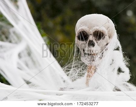 Plastic Skeleton Covered In Fake Web For Halloween Decoration