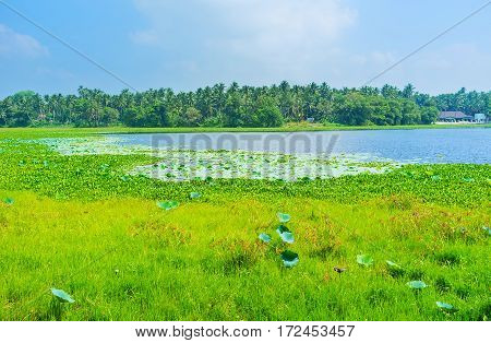Lake In Madampe