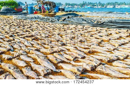 Fish Drying Process