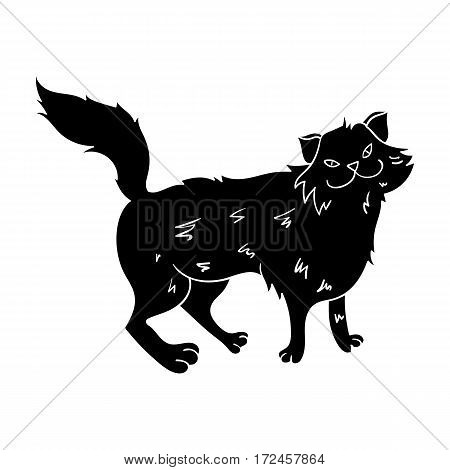 Norwegian Forest Cat icon in black design isolated on white background. Cat breeds symbol stock vector illustration.