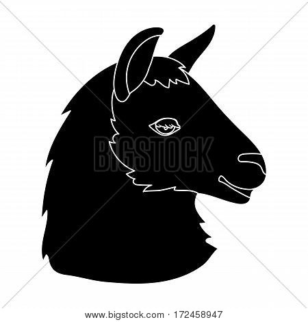Lama icon in black design isolated on white background. Realistic animals symbol stock vector illustration.