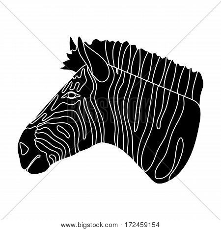 Zebra icon in black design isolated on white background. Realistic animals symbol stock vector illustration.