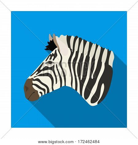 Zebra icon in flat design isolated on white background. Realistic animals symbol stock vector illustration.