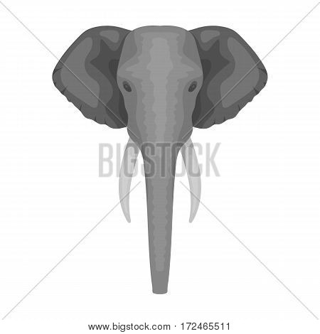 Elephant icon in monochrome design isolated on white background. Realistic animals symbol stock vector illustration.