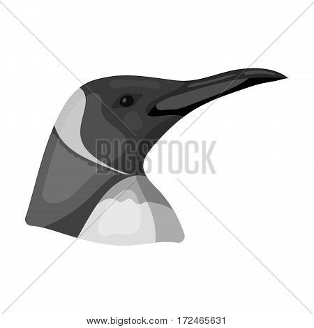 Penguin icon in monochrome design isolated on white background. Realistic animals symbol stock vector illustration.