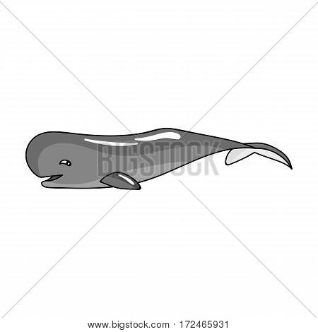 Sperm whale icon in monochrome design isolated on white background. Sea animals symbol stock vector illustration.