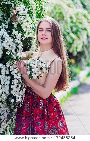 Beautiful Model Range Bush Of White Flowers