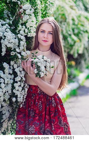 Beautiful Model Range Bush Of White Flowers