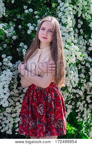 Beautiful Model Range Bush Of White Flowers