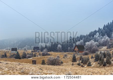 Beautiful Ladnscape Of Pine Forest Mountain In Winter.