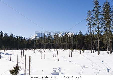 Winter mountains covered with snow view from a big meadow in Tatry mountains in Poland