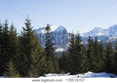 Winter mountains covered with snow view from a big meadow in Tatry mountains in Poland