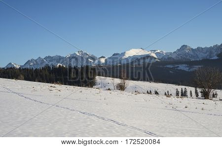 Winter mountains covered with snow view from a big meadow in Tatry mountains in Poland