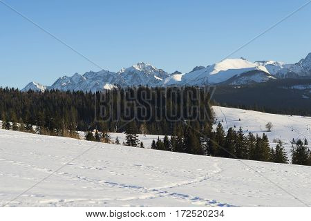 Winter mountains covered with snow view from a big meadow in Tatry mountains in Poland