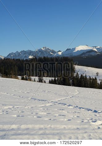 Winter mountains covered with snow view from a big meadow in Tatry mountains in Poland