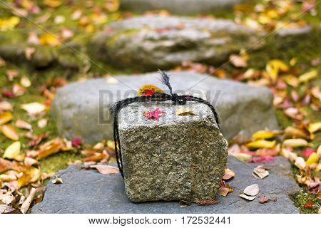 A stone surrounded by autumn leaves at Honen-in Temple in Kyoto, Japan