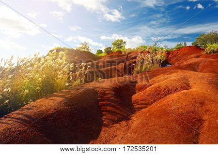 Famous Red Dirt Of Waimea Canyon In Kauai