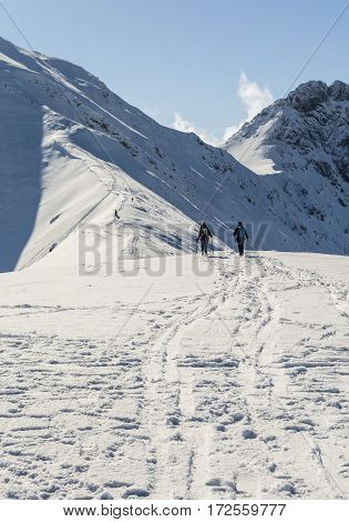 Tourism In The Winter On The Trail.