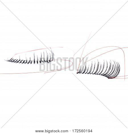 false eyelashes, black false eyelashes, isolated on white background